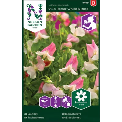 Frø blomsterert Villa Roma