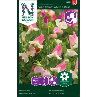 Frø blomsterert Villa Roma