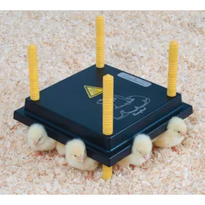 Kyllingmor Olba 25x25 cm