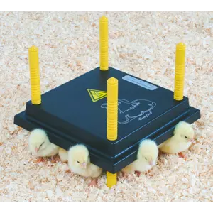 Kyllingmor Olba 25x25 cm