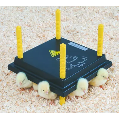 Kyllingmor Olba 25x25 cm