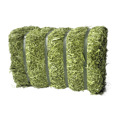 Lucerne GT 20 kg