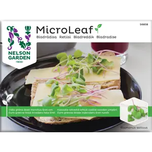 Frø bladreddik MicroLeaf