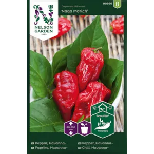 Frø havannapepper Naga Morich