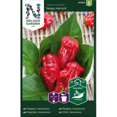 Frø havannapepper Naga Morich