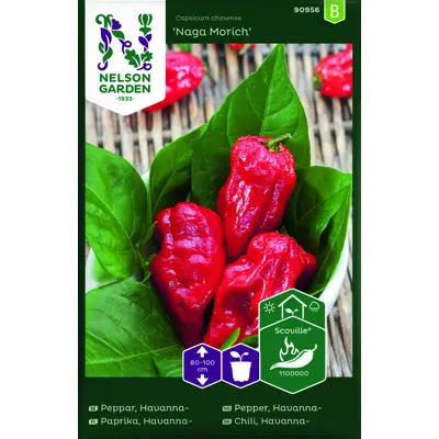 Frø havannapepper Naga Morich
