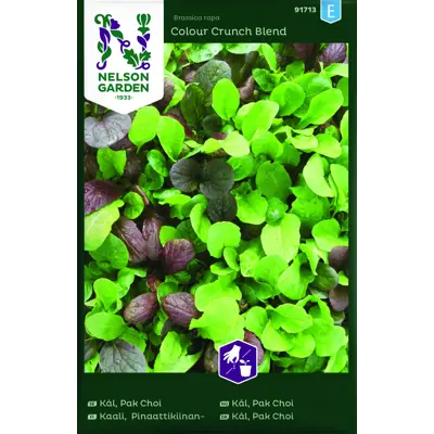 Frø kål Pak Choi Colour Crunch Blend