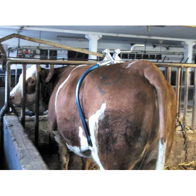 Sparkebøyle Kick Stop, bilde 2