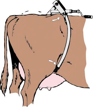 Sparkebøyle Kick Stop, bilde 3