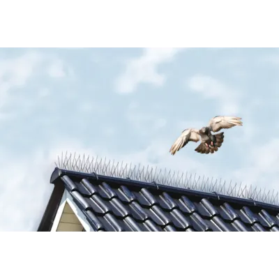 Fuglepigger til tak 2,5 meter, bilde 2