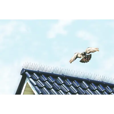 Fuglepigger til tak 2,5 meter, bilde 2