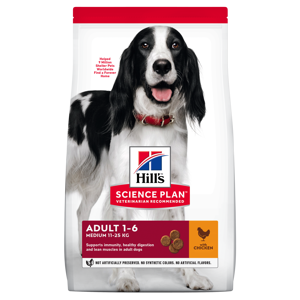 Hundefôr Medium Adult Kyllling 2,5 kg