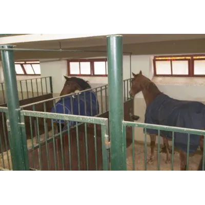 Overvåkningskamera 360 GR RC/HD, bilde 2