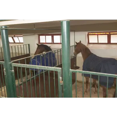 Overvåkningskamera 360 GR RC/HD, bilde 2