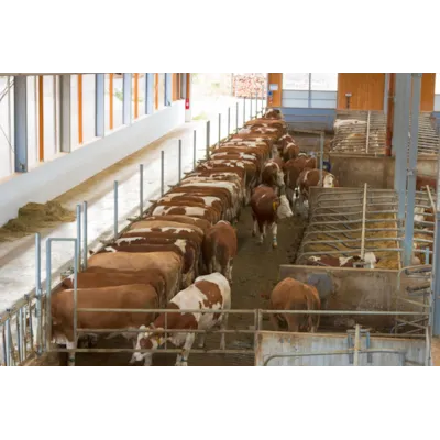 Overvåkningskamera 360 GR RC/HD, bilde 4