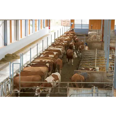 Overvåkningskamera 360 GR RC/HD, bilde 4