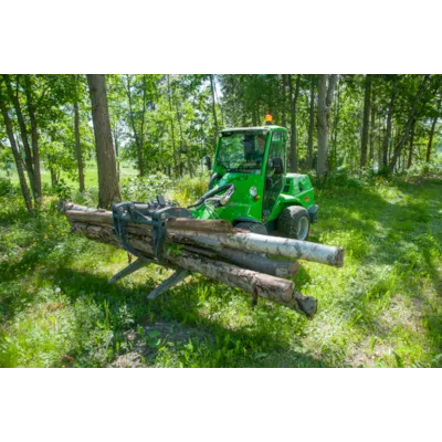 Tømmergrabb, bilde 2