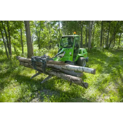 Tømmergrabb, bilde 2