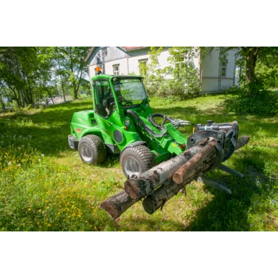 Tømmergrabb, bilde 3