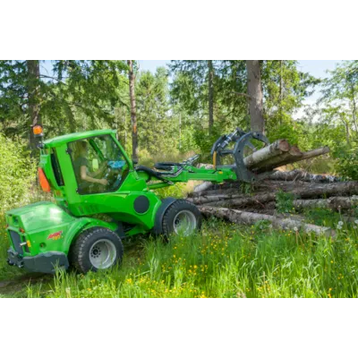 Tømmergrabb, bilde 4