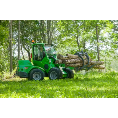 Tømmergrabb, bilde 5