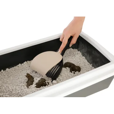 Kattespade til toalett beige, bilde 3