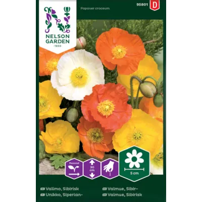 Frø sibirvalmue, bilde 2