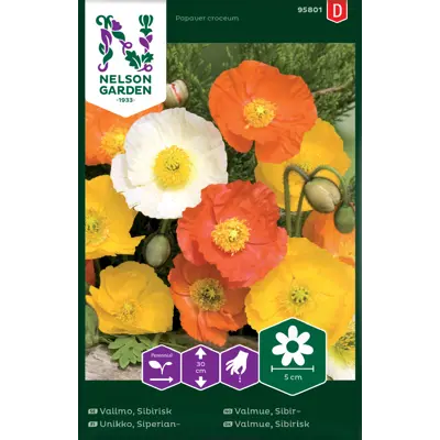 Frø sibirvalmue, bilde 2