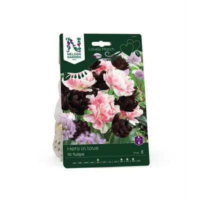 Høstløk tulipan Hero in Love