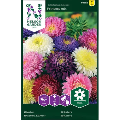 Frø asters Princess mix