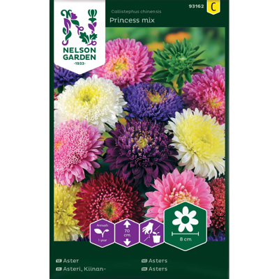 Frø asters Princess mix