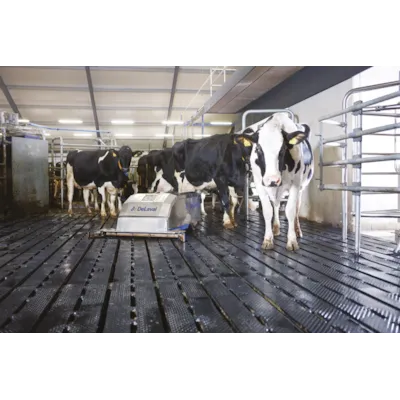 Gjødselrobot, bilde 4