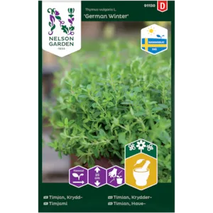 Frø kryddertimian German Winter