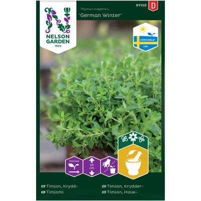 Frø kryddertimian German Winter