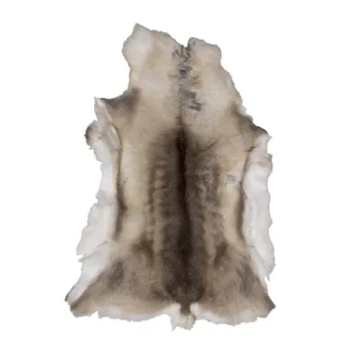 Reinsdyrskinn, bilde 2