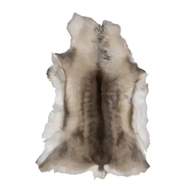 Reinsdyrskinn, bilde 2