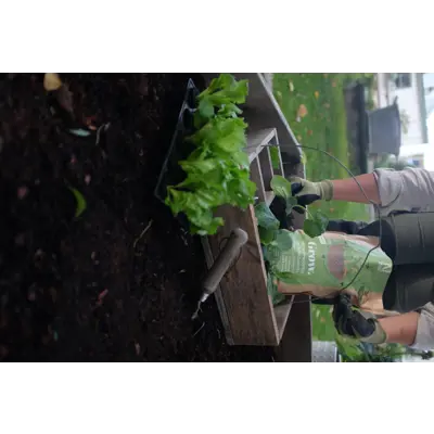 Kretsløpsgjødsel Grow 4L, bilde 3