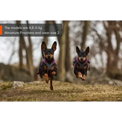 Hundesele Line Harness 5.0 blå, bilde 6