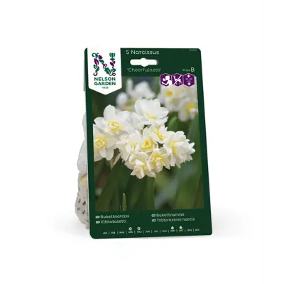 Høstløk narsiss Cheerfulness