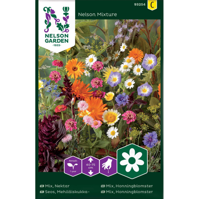 Frø honningblomster Nelson Mixture