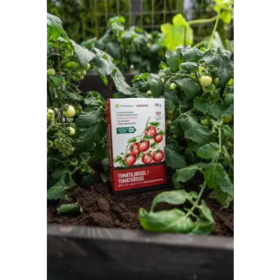 Tomatgjødsel 0,9 kg, bilde 2