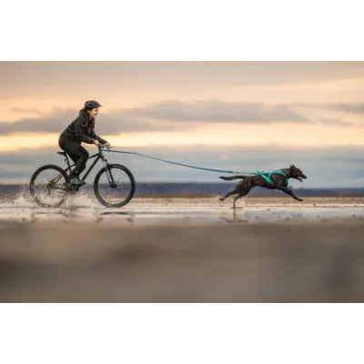 Trekksele Freemotion 5.0, bilde 2