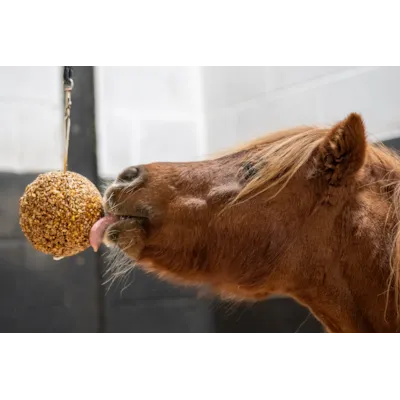 Slikkeball Granola eple, bilde 3