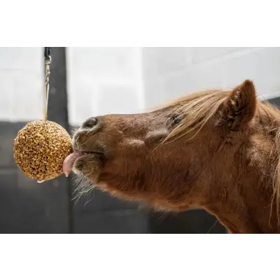 Slikkeball Granola eple, bilde 3