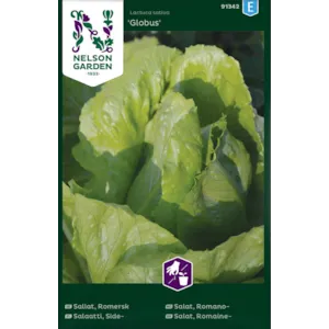 Frø romanosalat Globus