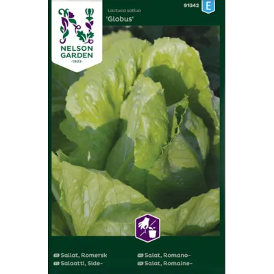 Frø romanosalat Globus   