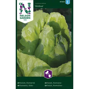 Frø romanosalat Globus