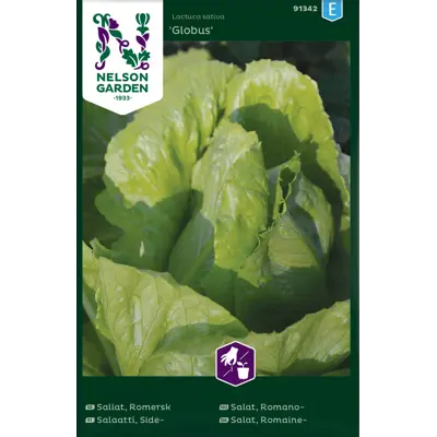 Frø romanosalat Globus   