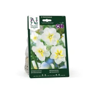 Høstløk edelnarsiss Lemon Beauty