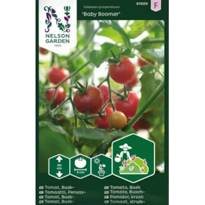 Frø busktomat Baby Boomer